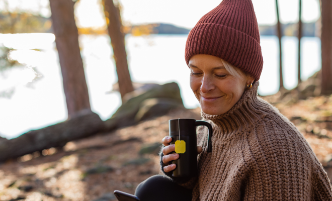 Veilig online bankieren